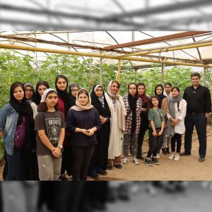 آژانس برندینگ یک کسب - برندسازی سازمانی | برندسازی شخصی